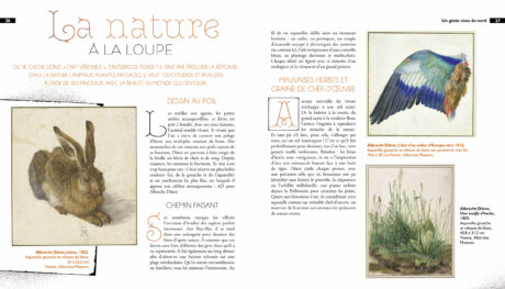 intérieur-dada-durer-5
